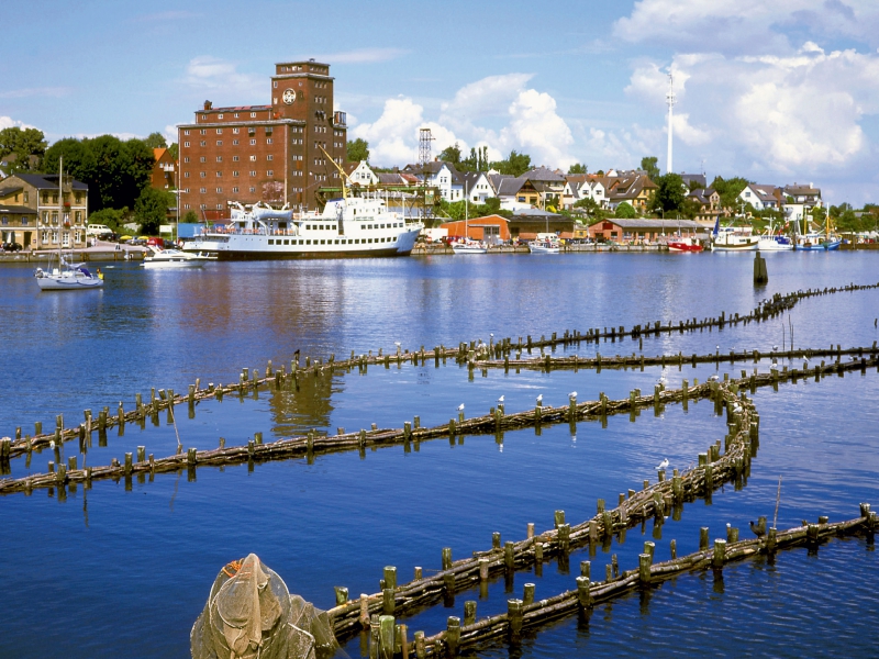 Heringszaun bei Kappeln an der Schlei