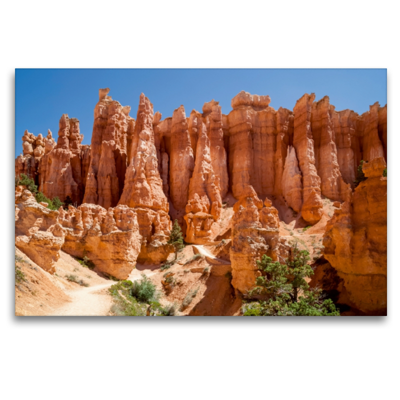 UTAH Bryce Canyon Hoodoos