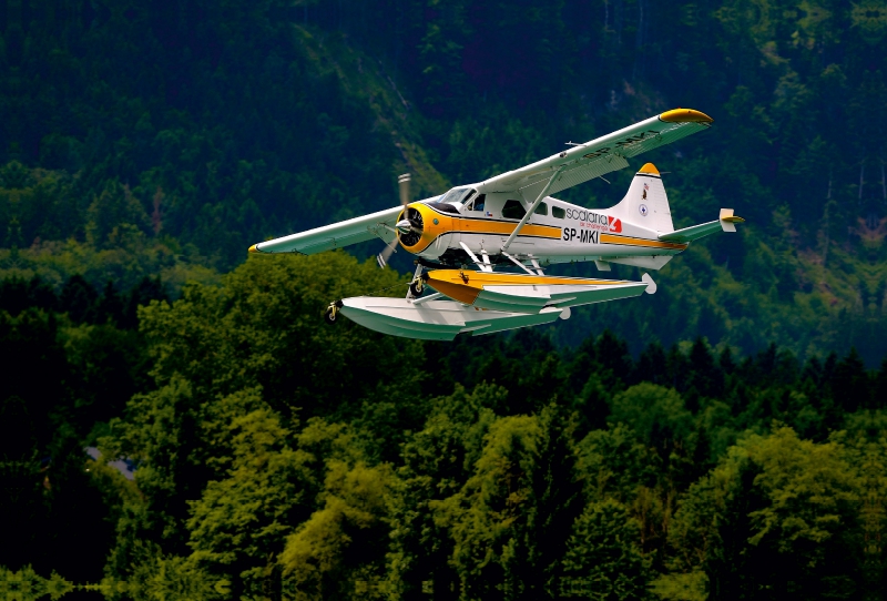 De Havilland Canada DHC-2 Beaver