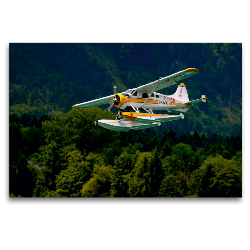 De Havilland Canada DHC-2 Beaver