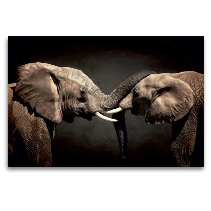 Two Elephants