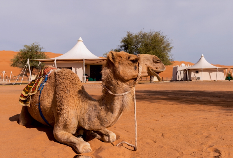 Sultanat Oman - Die Perle auf der Arabischen Halbinsel