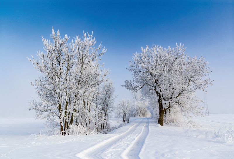 Winterlicher Weg bei greifswald