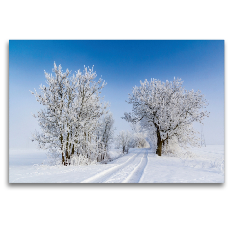 Winterlicher Weg bei greifswald