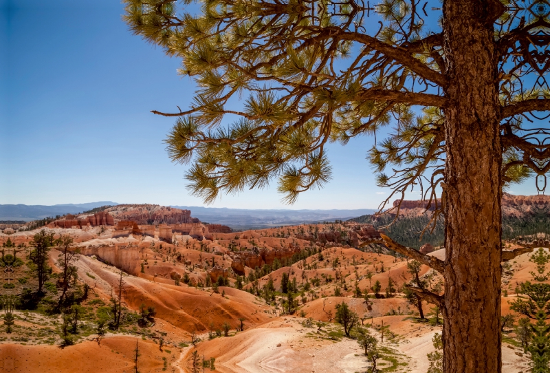 BRYCE CANYON Blick über das Tal