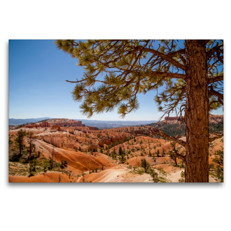 BRYCE CANYON Blick über das Tal