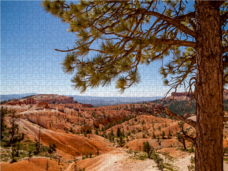 BRYCE CANYON Blick über das Tal