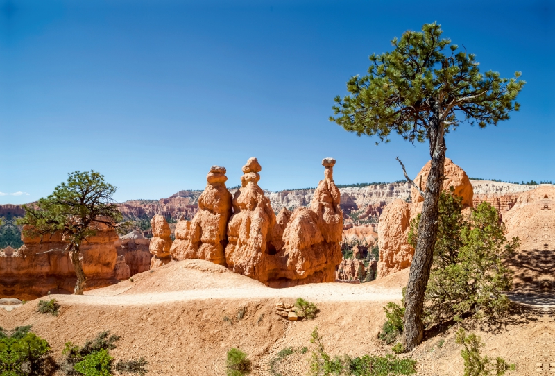 BRYCE CANYON Wanderpfad durch die Felsformationen