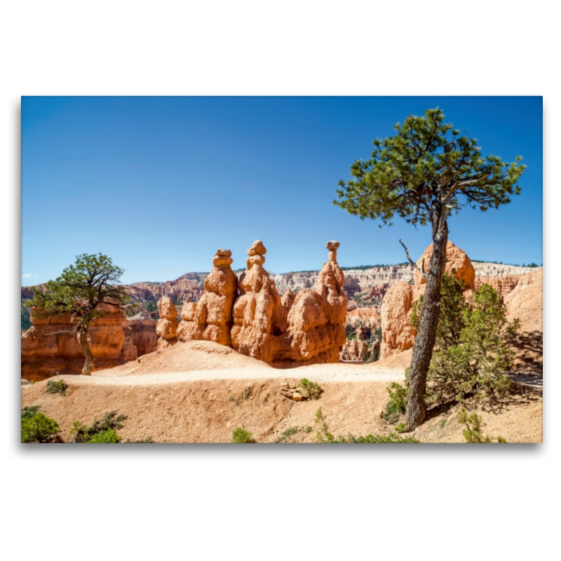 BRYCE CANYON Wanderpfad durch die Felsformationen