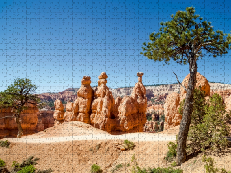 BRYCE CANYON Wanderpfad durch die Felsformationen