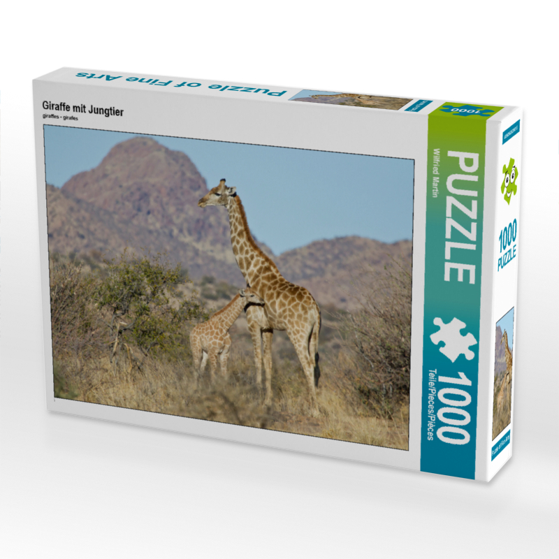 Giraffe mit Jungtier