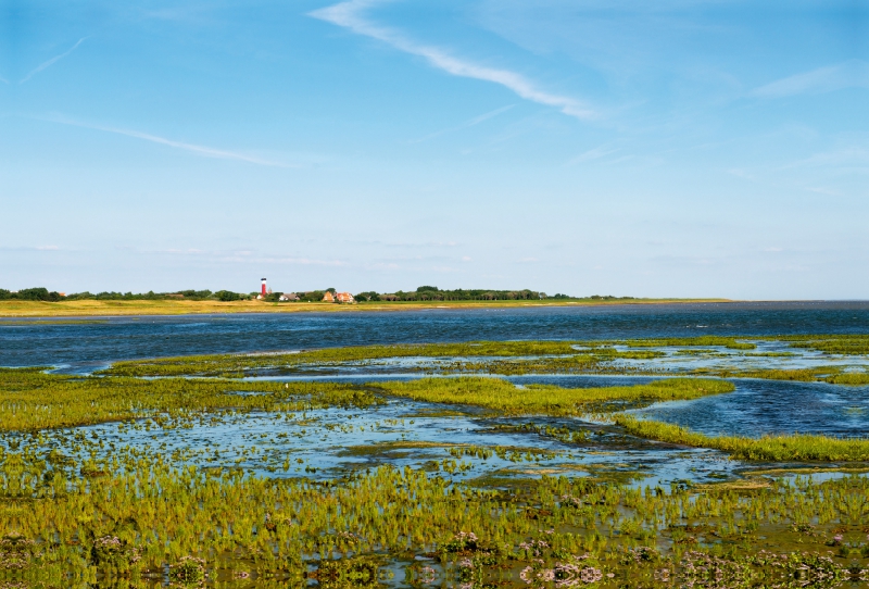 Ein Motiv aus dem Kalender Wangerooge – Eine Perle in der Nordsee.