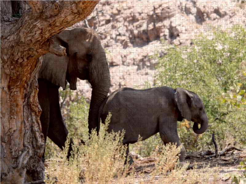 Elefant mit Baby unterwegs.  Jumbo - Auf den Spuren der Elefanten in Namibia