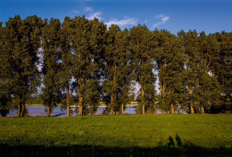 Rhein bei Meerbusch