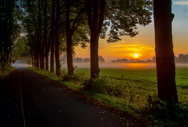 Sonnenaufgang in Meerbusch