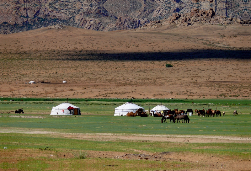 Mongolische Landschaft mit Jurten