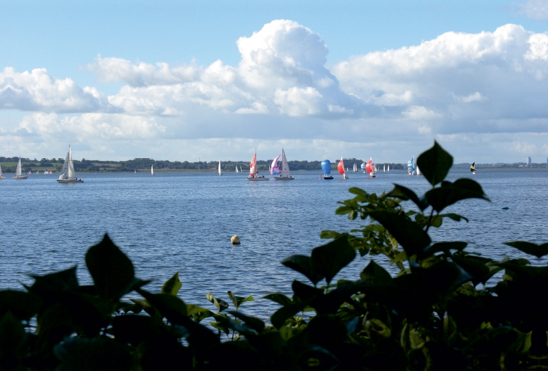 Regatta auf der Großen Breite