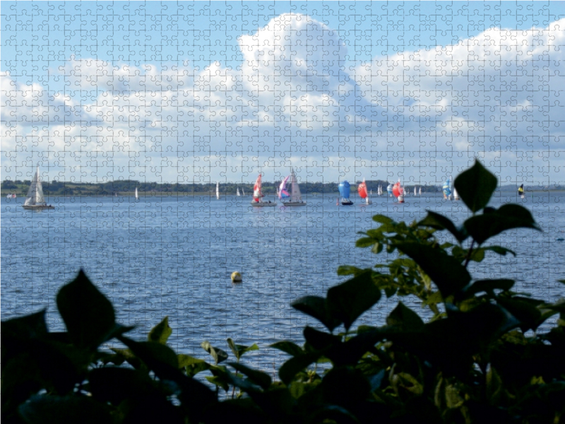 Regatta auf der Großen Breite