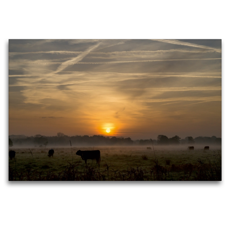 Morgennebel in Schleswig-Holstein