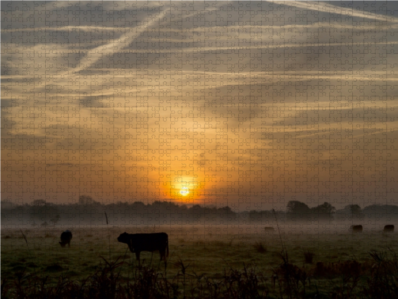 Morgennebel in Schleswig-Holstein