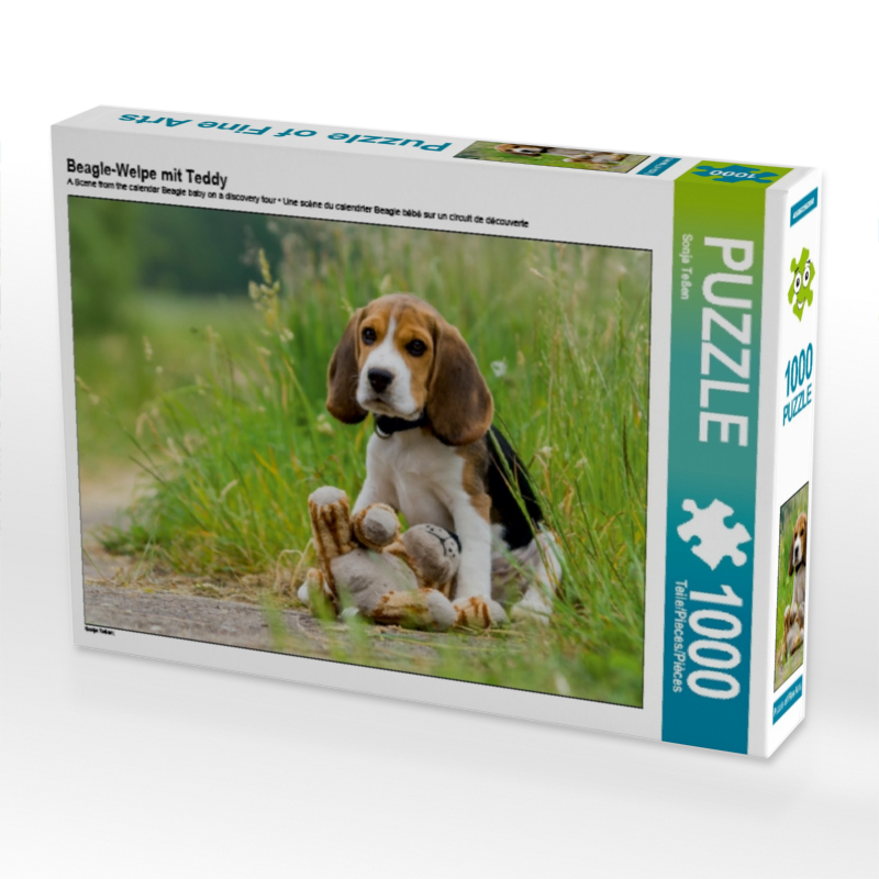 Beagle-Welpe mit Teddy