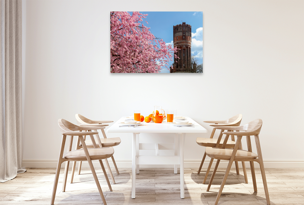 Japanische Kirschblüte mit Blick auf den Wasserturm Lüneburg