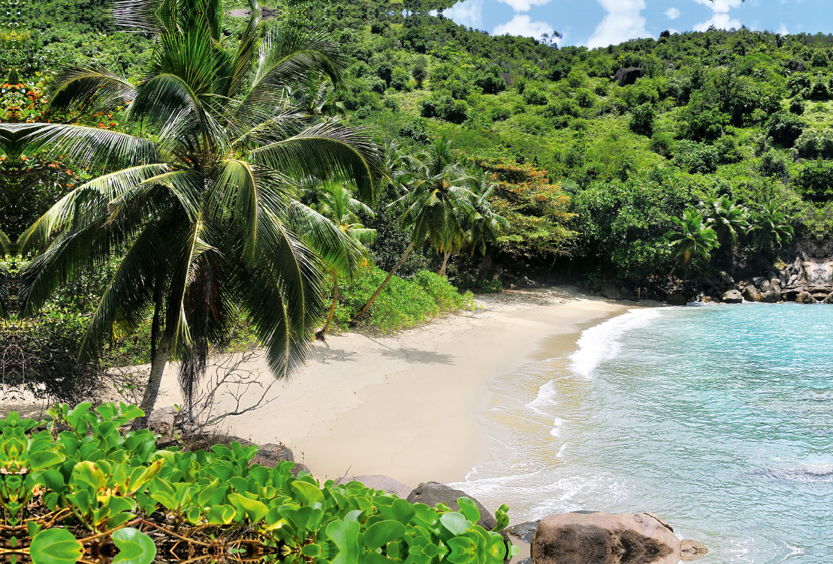 Anse Major auf Mahé