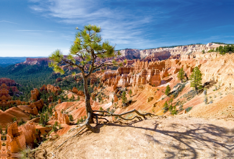 Bryce Canyon NP