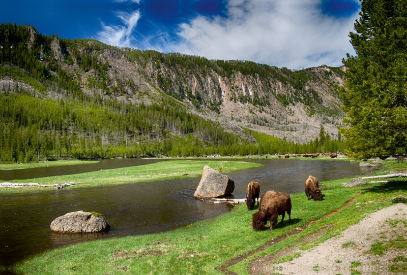 Yellowstone River