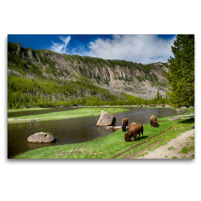 Yellowstone River