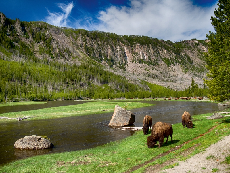 Yellowstone River