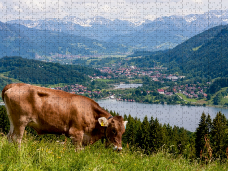 Ein Motiv aus dem Kalender Oberallgäuer Landschaft