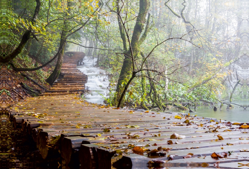 Ein Motiv aus dem Kalender Herbstimpressionen Plitvicer Seen