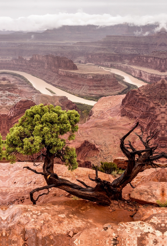 Dead Horse Point State Park - Utah, USA