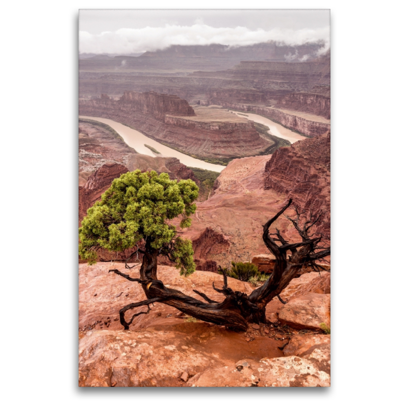 Dead Horse Point State Park - Utah, USA