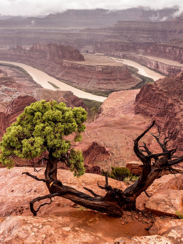 Dead Horse Point State Park - Utah, USA