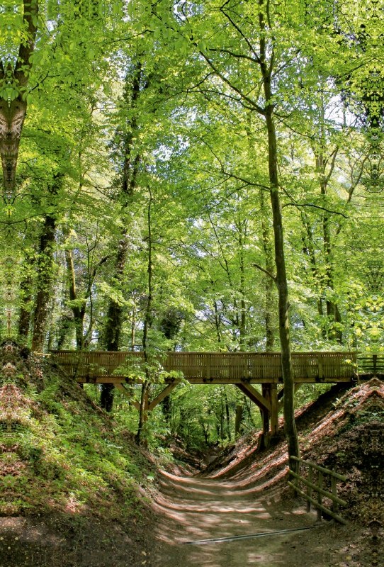 Oermter Berg - Ausflugsziel