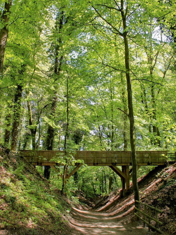 Oermter Berg - Ausflugsziel