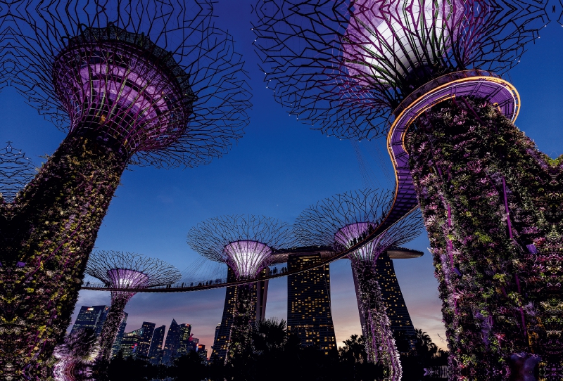 Garden by the Bay - Singapur