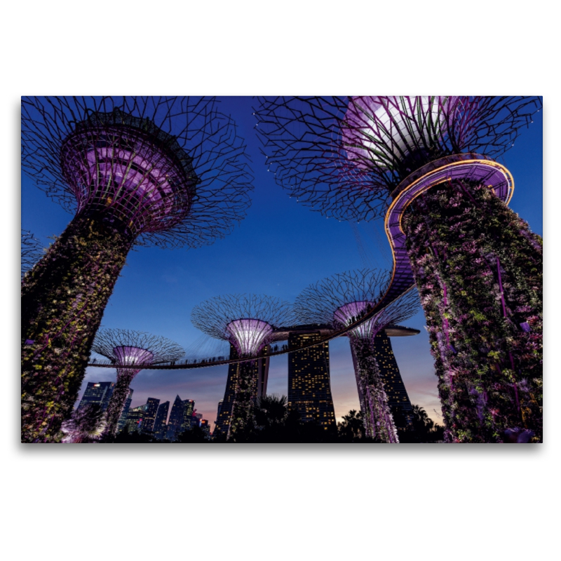 Garden by the Bay - Singapur