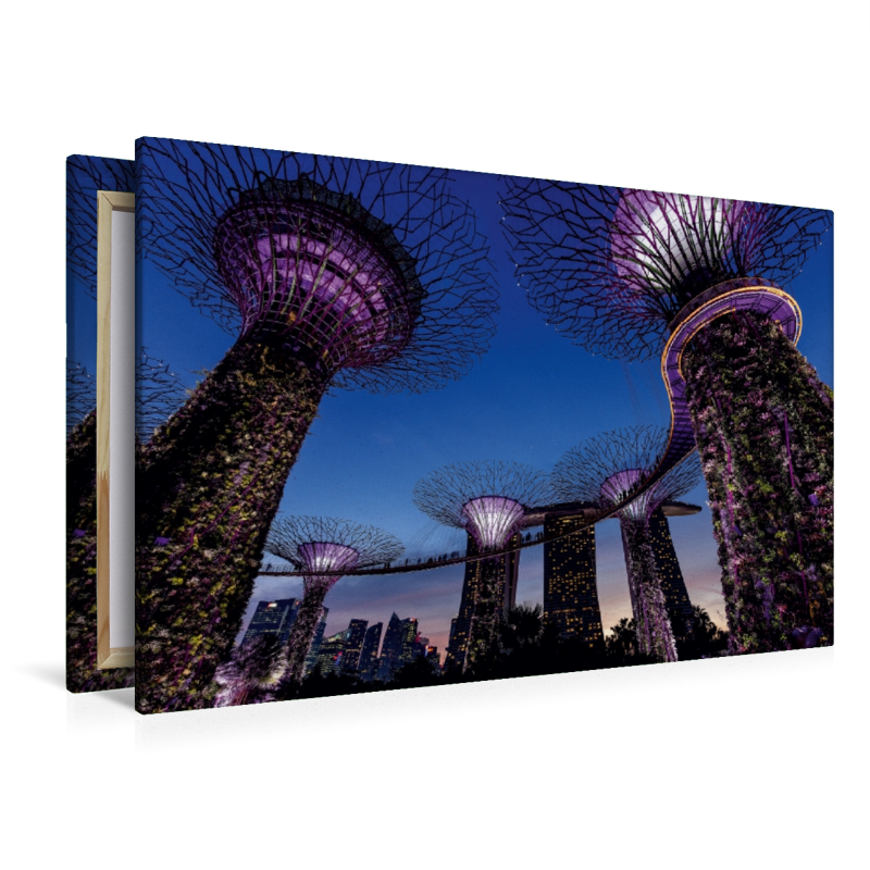 Garden by the Bay - Singapur