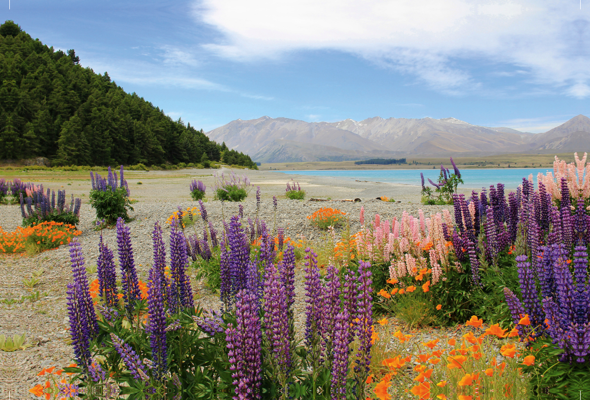 Lake Tekapo