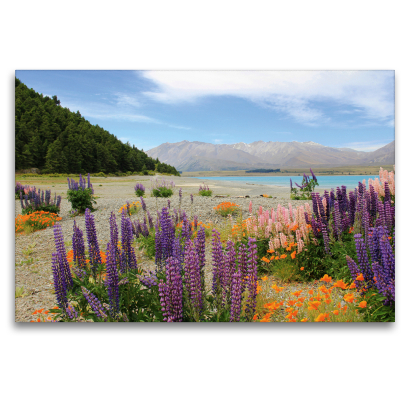 Lake Tekapo