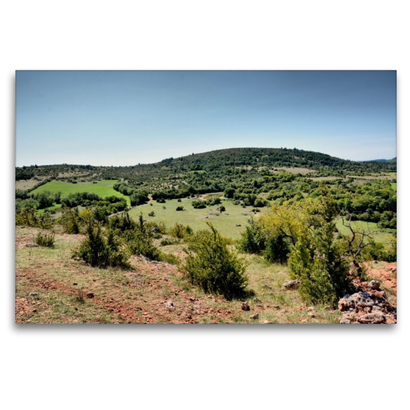 Causse du Larzac