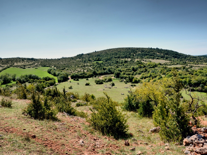 Causse du Larzac