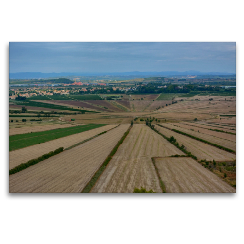 Etang de Montady