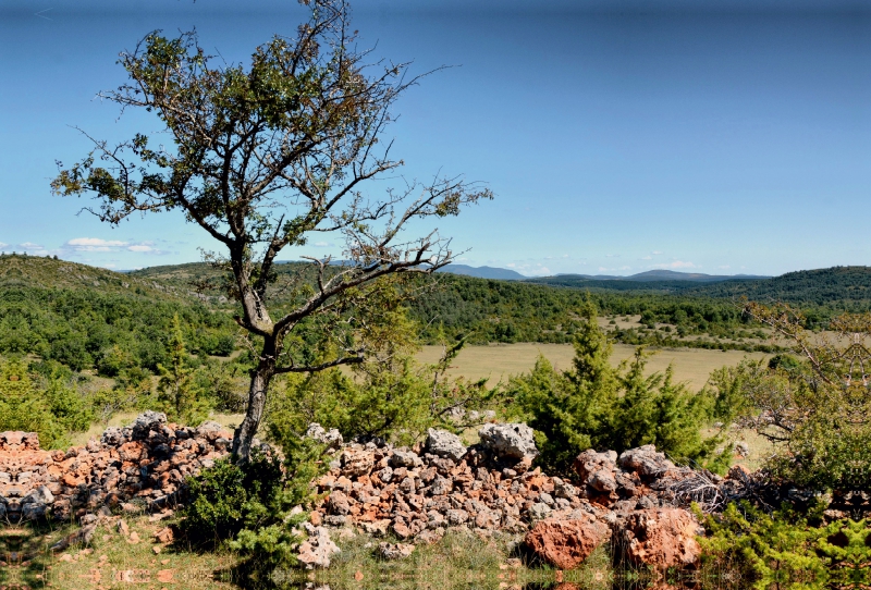 Aveyron