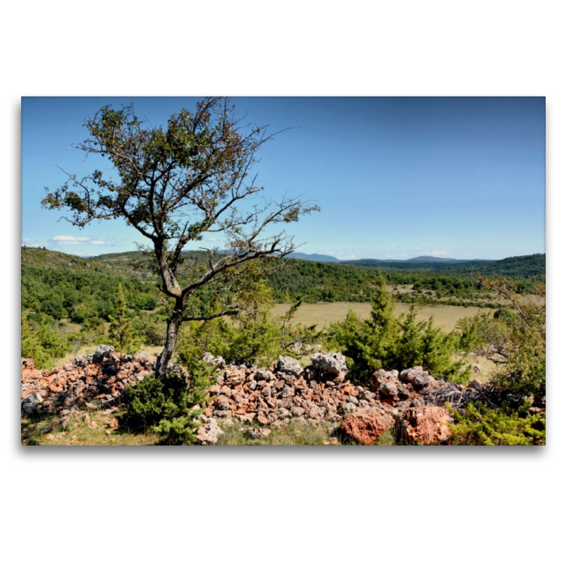 Aveyron