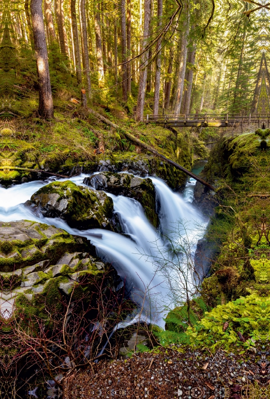 Sol Duc Falls - Olympic NP