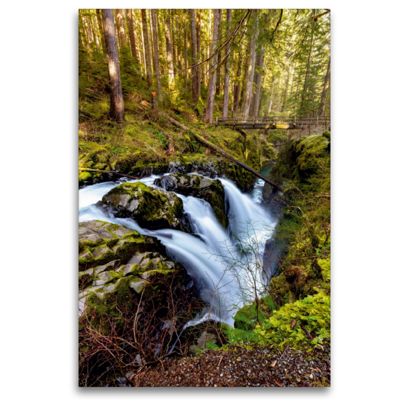 Sol Duc Falls - Olympic NP